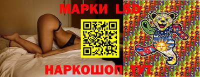 гашик Кулебаки