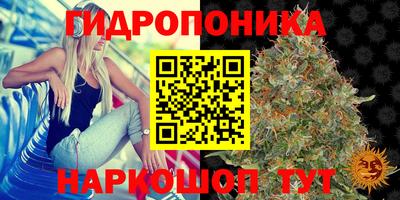гашик Кулебаки