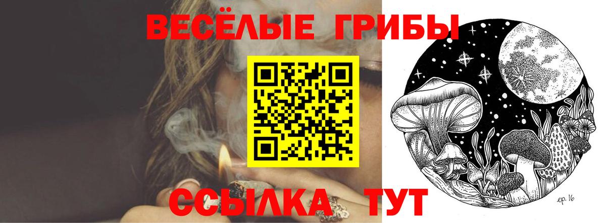 Псилоцибиновые грибы Psilocybe  Вход с VPN  Жигулёвск 